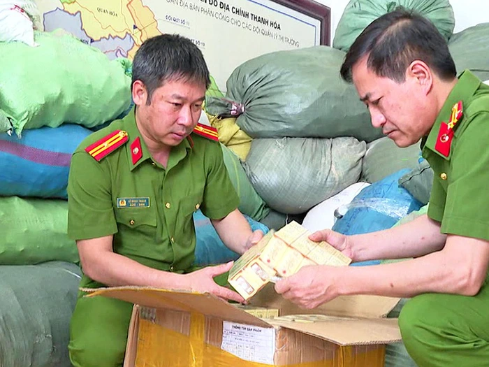 Thông Tin Điều Tra
