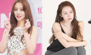 Khuyến nghị từ chuyên gia